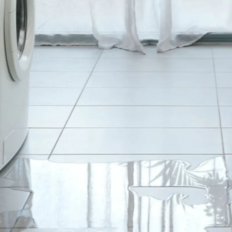 Appliance Leak Cleanup in LaPorte County, IN