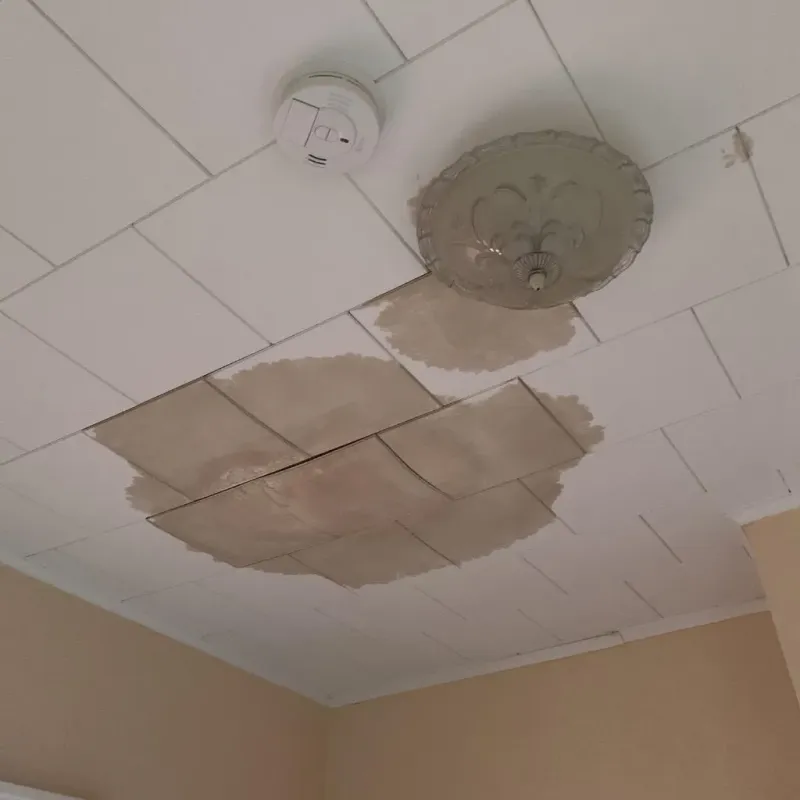 Ceiling Water Damage Repair in LaPorte County, IN