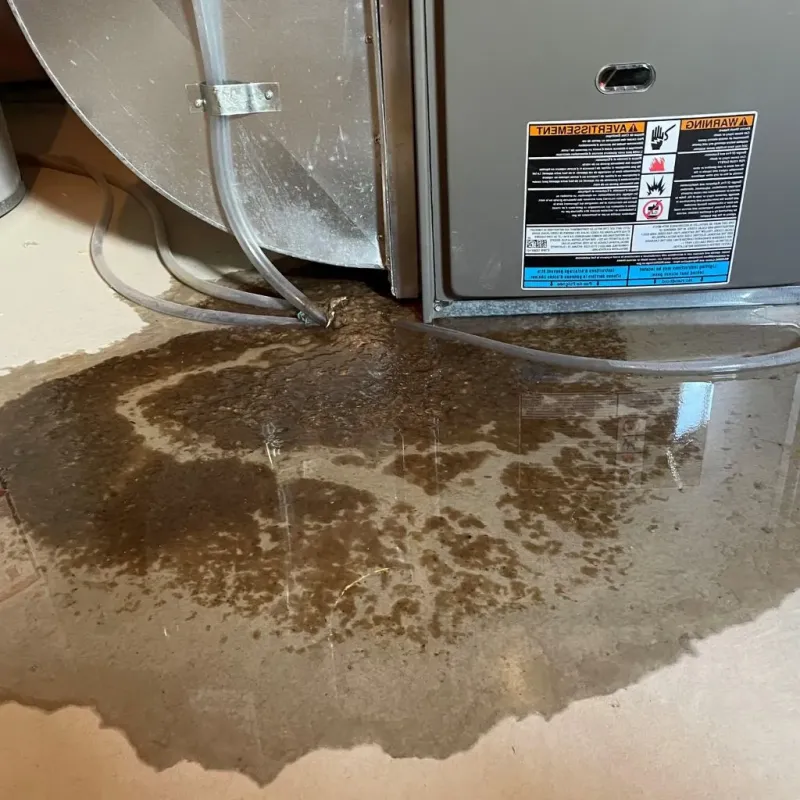 Pipe Burst and Leak Restoration in LaPorte County, IN