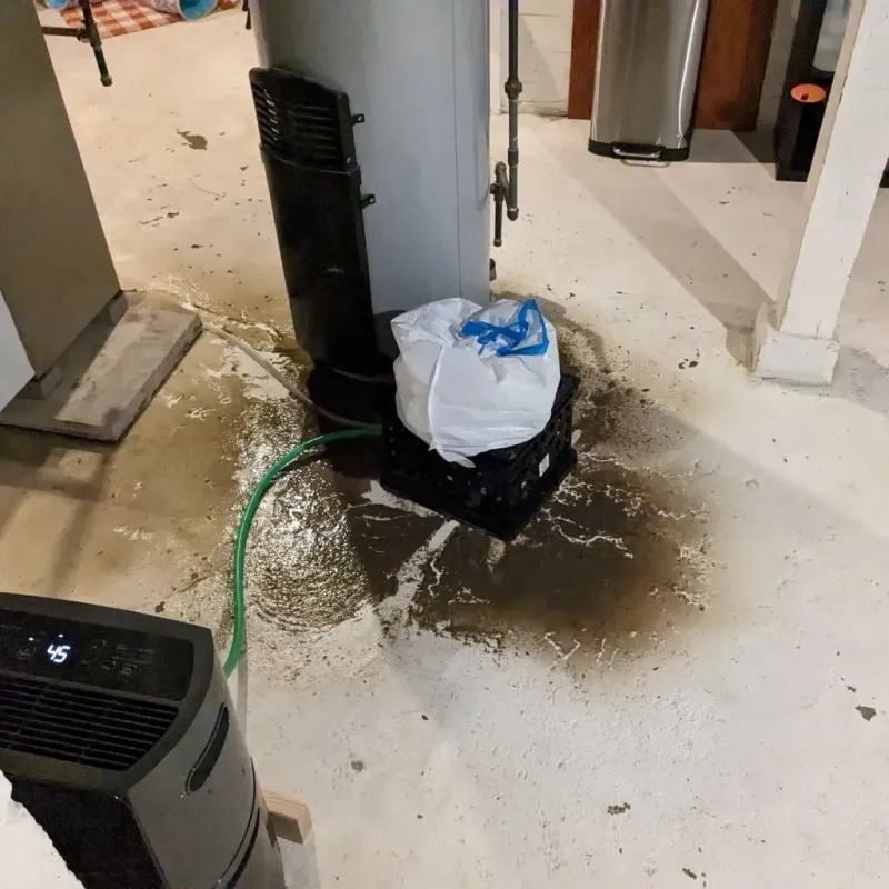 Sewage Backup Cleanup Service in LaPorte County, IN